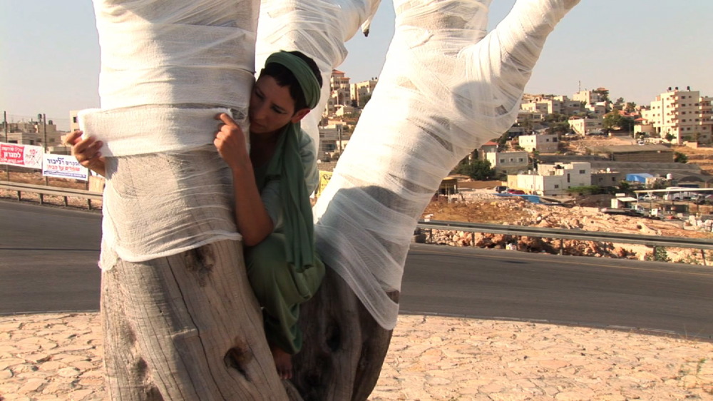 Still from video The Olive Tree