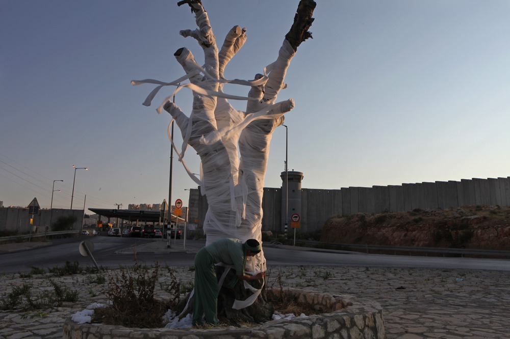 Photo: Rina Castelnuevo The Olive Tree