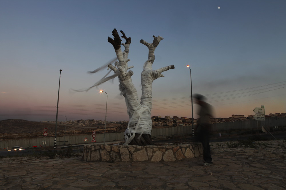The dressed Olive Tree and a Palestinian man
Photo: Rina Castelnuevo The Olive Tree