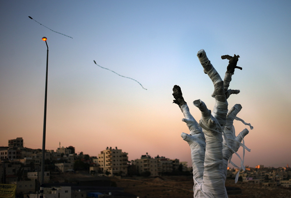 The Dressed Olive Tree and two kites flying above Hizma Photo: Rina Castelnuevo The Olive Tree