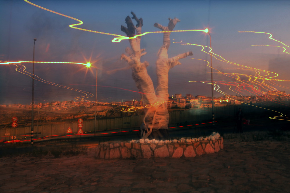 Photo: Rina Castelnuevo The Olive Tree